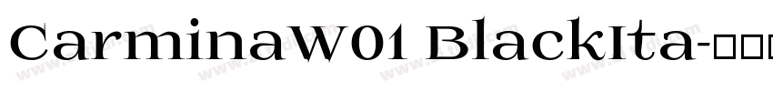 CarminaW01 BlackIta字体转换